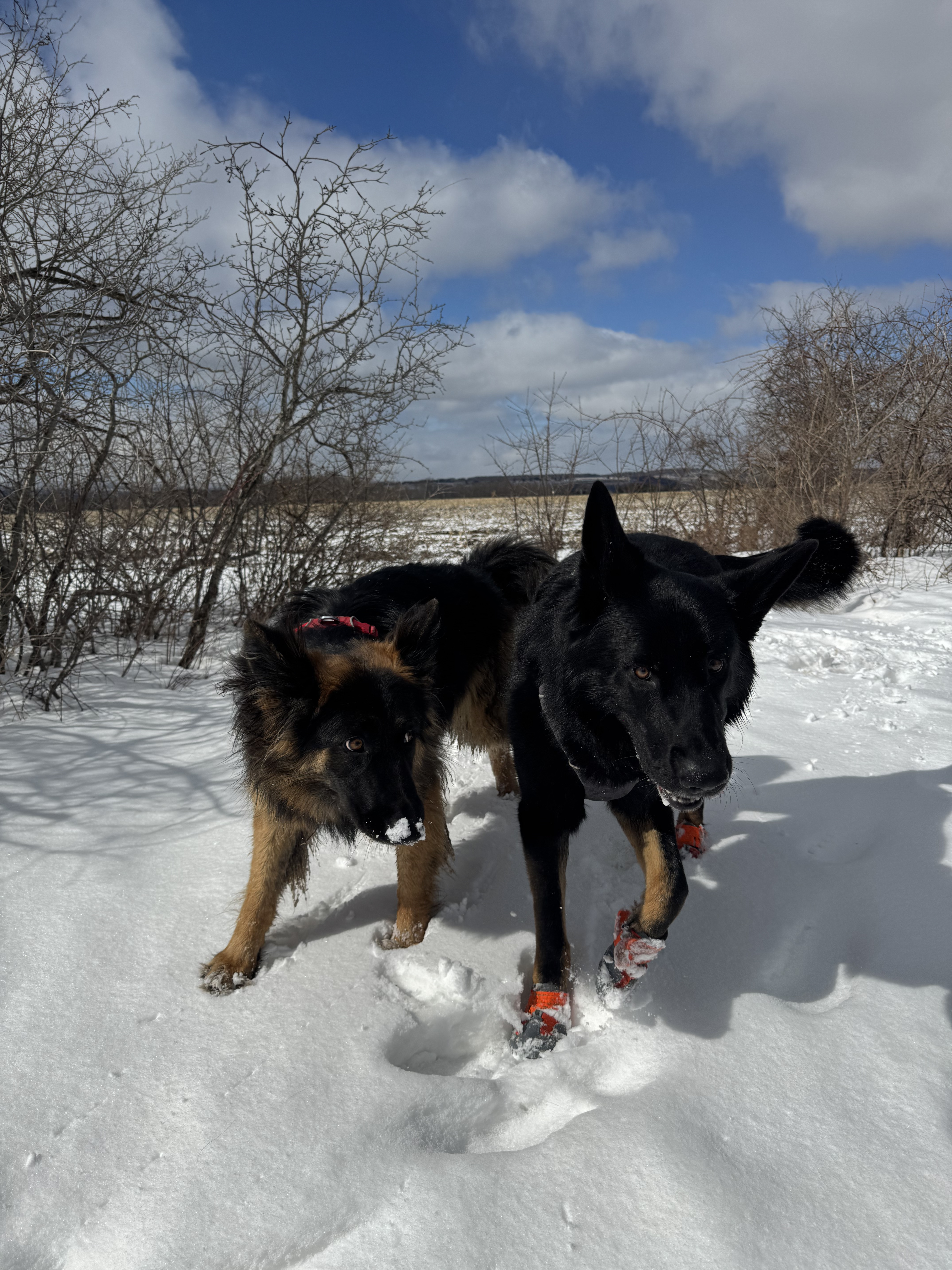 Photo of Mahler and Nina