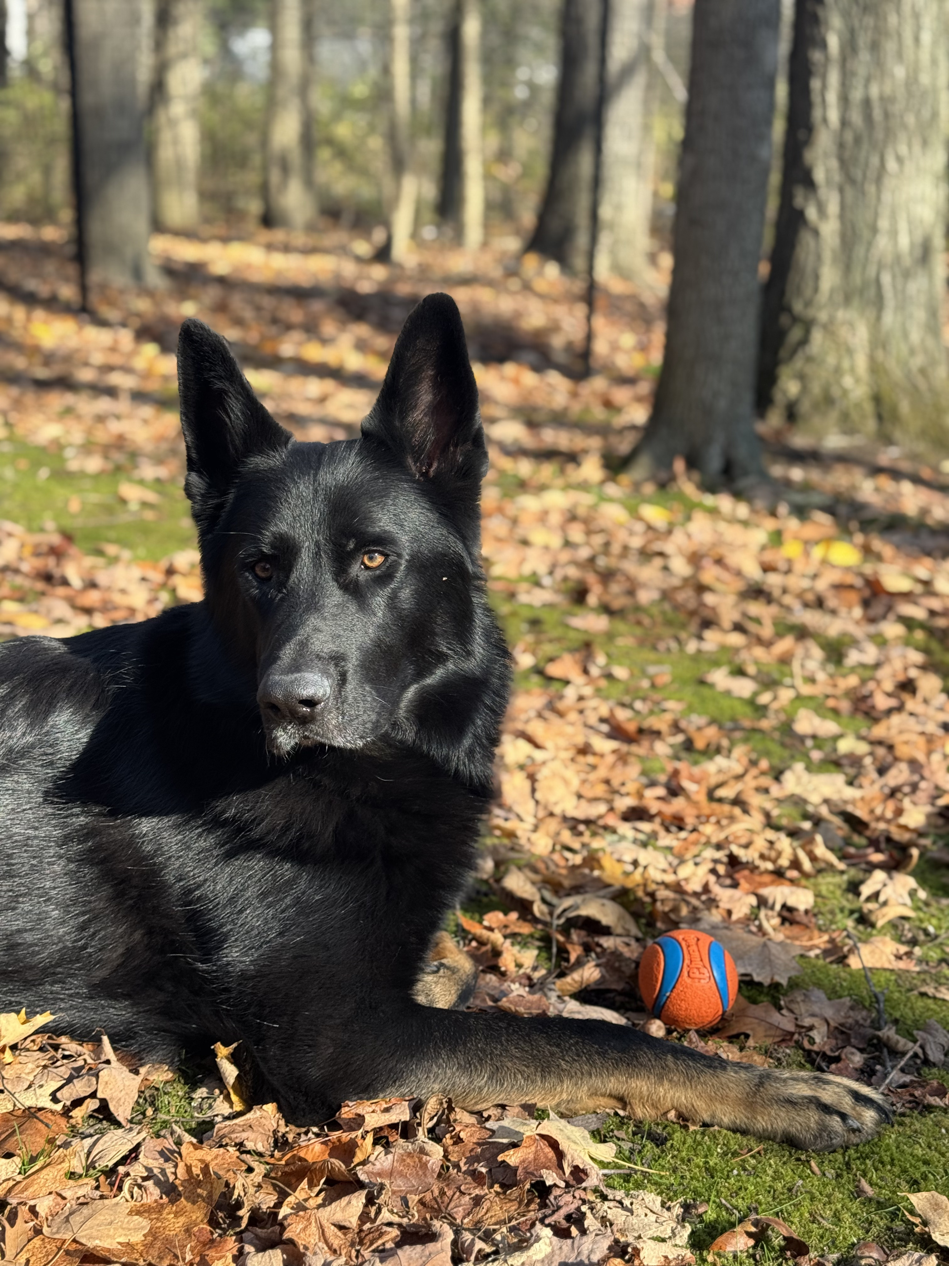 Photo of Mahler and Nina