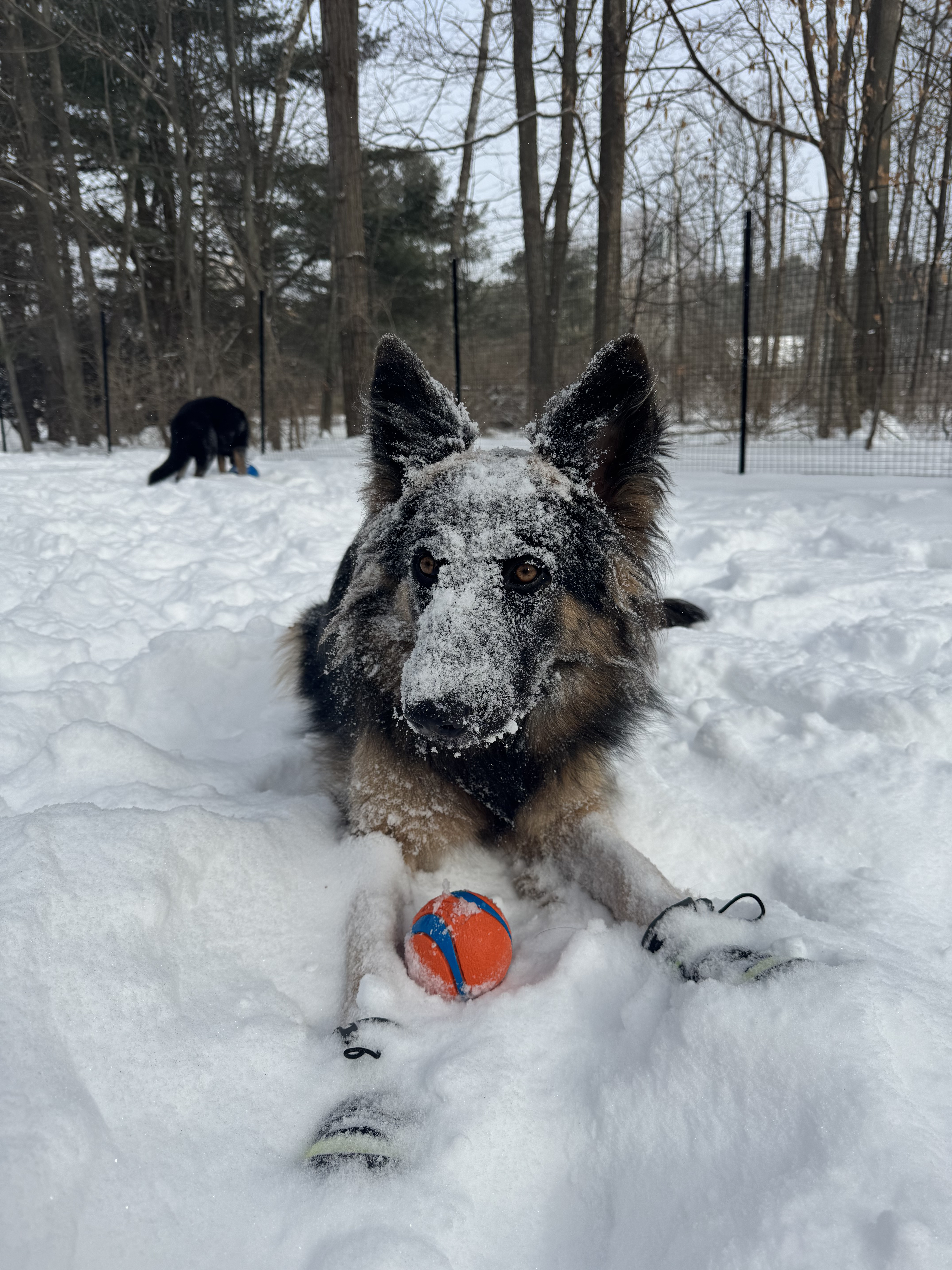 Photo of Mahler and Nina