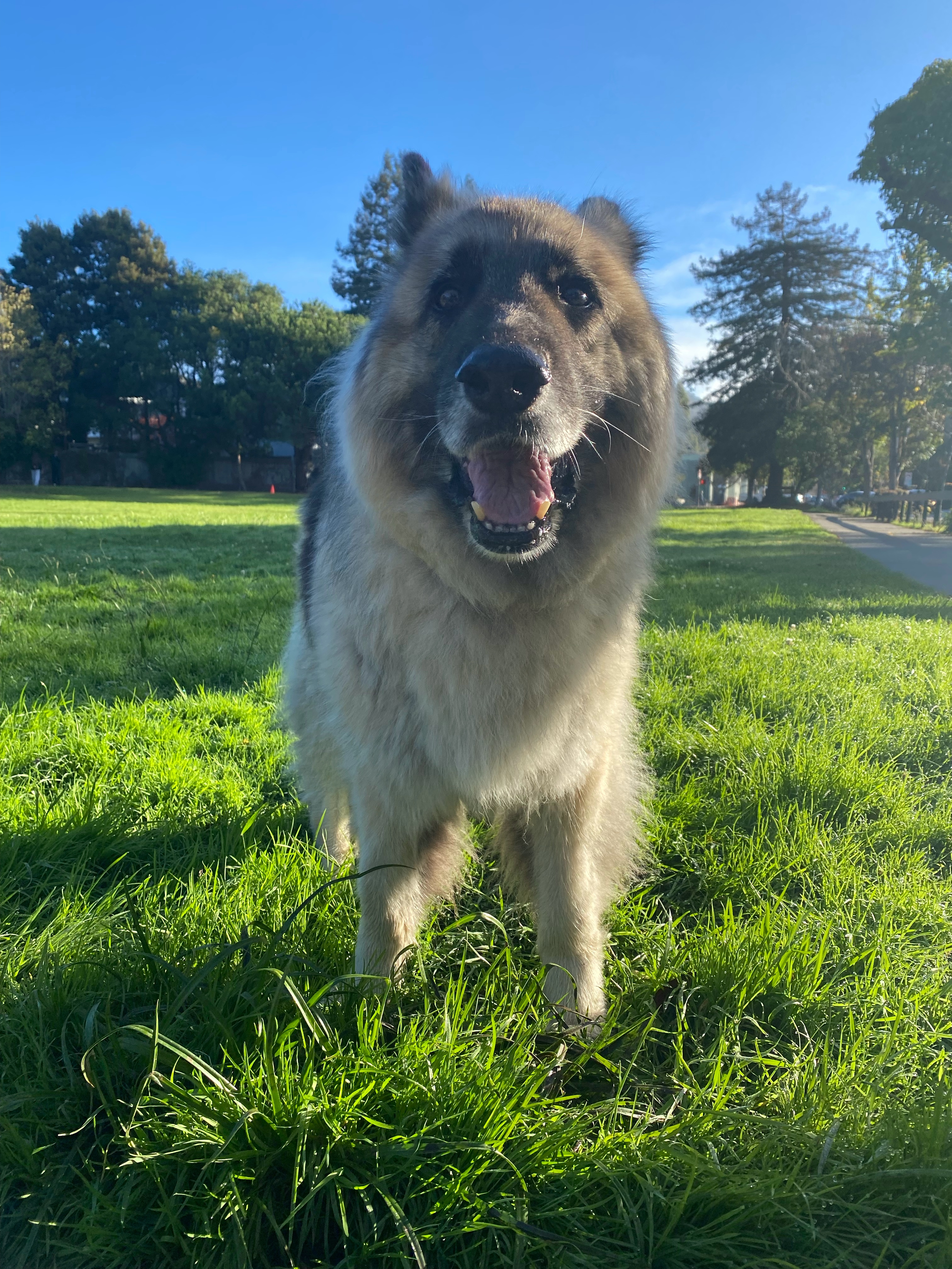 Photo of Sieger
